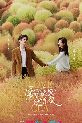 网站结构优化的要点有